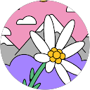 Michelle Hacoobei profile picture