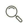 Inspection Icon