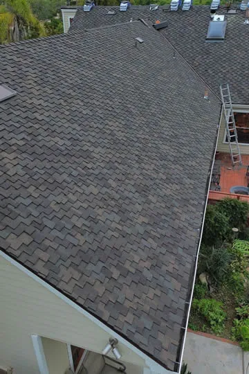 Recent Projects